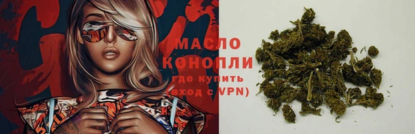 гидра Богородск