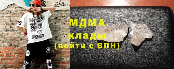 молекула духа Богданович