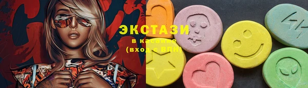гидра Богородск