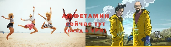 гидра Богородск