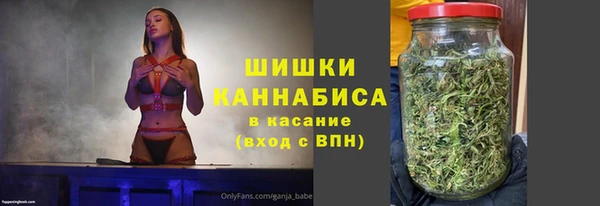 молекула духа Богданович