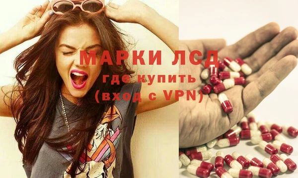 молекула духа Богданович