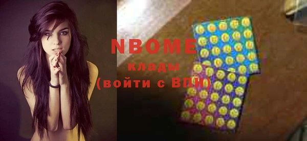 молекула духа Богданович
