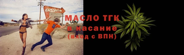 гидра Богородск