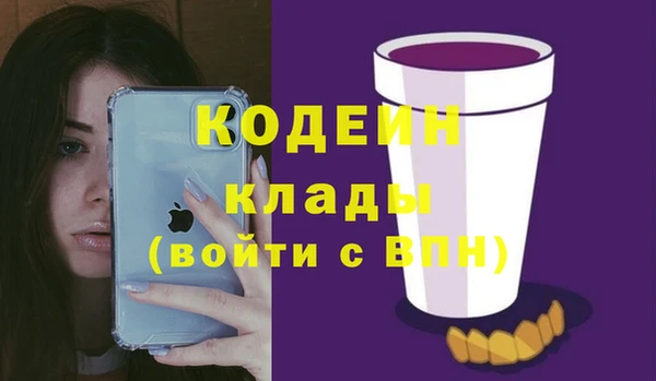молекула духа Богданович