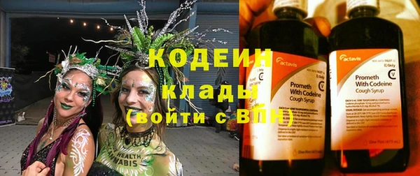 гидра Богородск