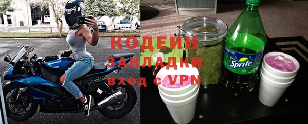 молекула духа Богданович