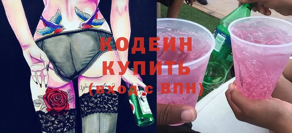 молекула духа Богданович