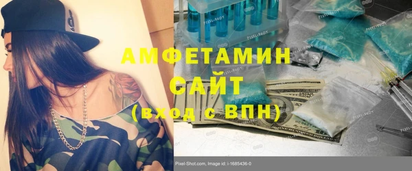 гидра Богородск