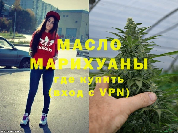 гидра Богородск