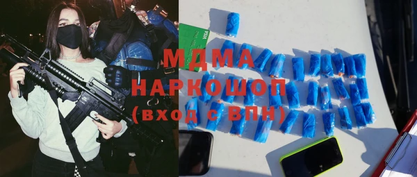 молекула духа Богданович