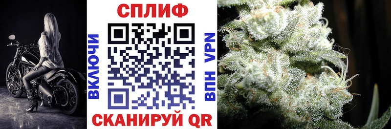 где продают наркотики Новороссийск Бошки Шишки индика